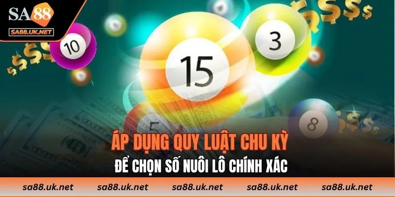Áp dụng quy luật chu kỳ để chọn số nuôi lô chính xác