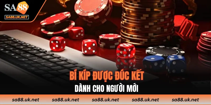Bí kíp được đúc kết dành cho người mới