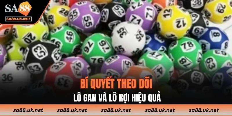 Bí quyết theo dõi lô gan và lô rơi hiệu quả