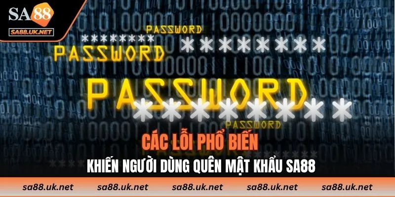 Các lỗi phổ biến khiến người dùng quên mật khẩu SA88
