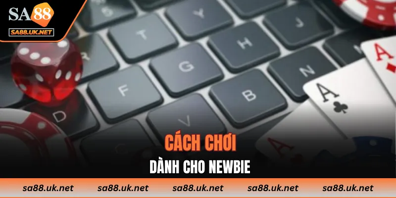 Cách chơi dành cho newbie