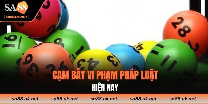 Cạm bẫy vi phạm pháp luật hiện nay