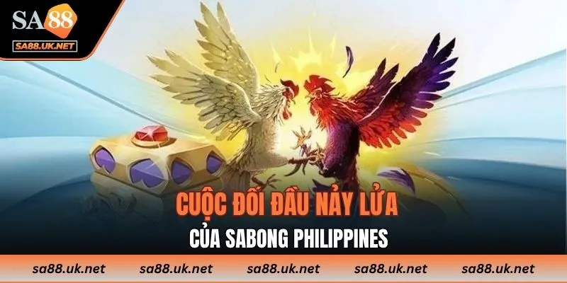 Cuộc đối đầu nảy lửa của Sabong Philippines