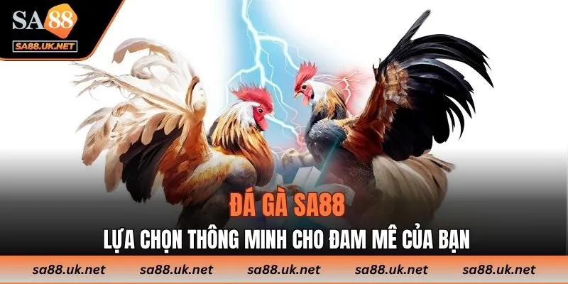 Đá gà SA88 – Lựa chọn thông minh cho đam mê của bạn