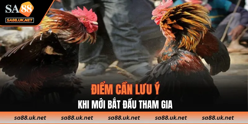 Điểm cần lưu ý khi mới bắt đầu tham gia