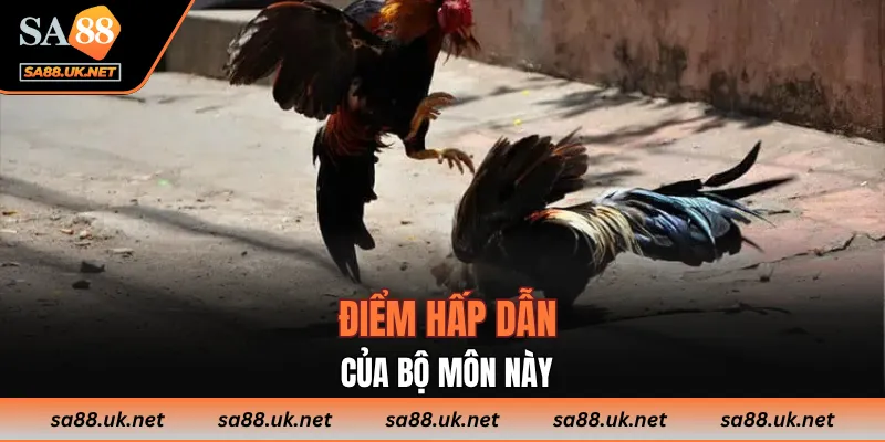 Điểm hấp dẫn của bộ môn này