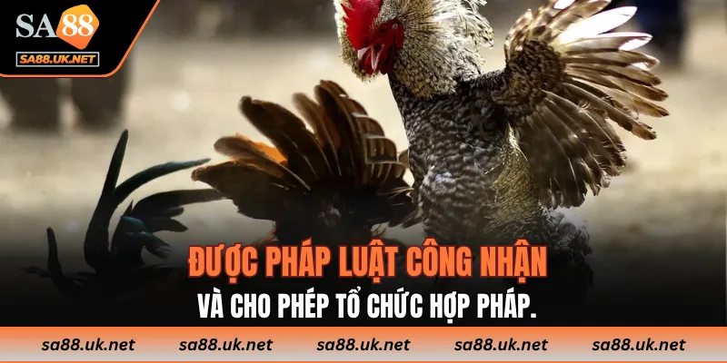 Được pháp luật công nhận và cho phép tổ chức hợp pháp.