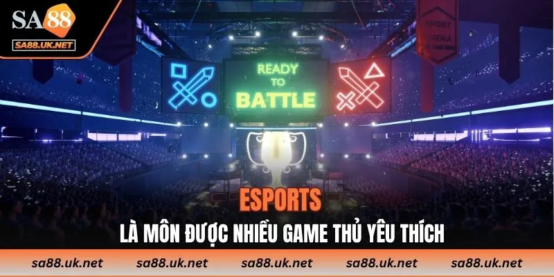 Esports là môn được nhiều game thủ yêu thích