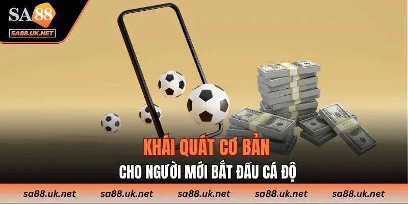 Khái quát cơ bản cho người mới bắt đầu cá độ