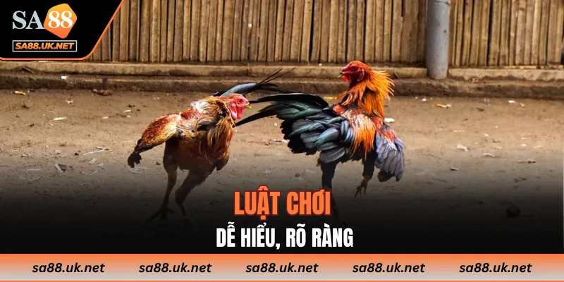 Luật chơi dễ hiểu, rõ ràng