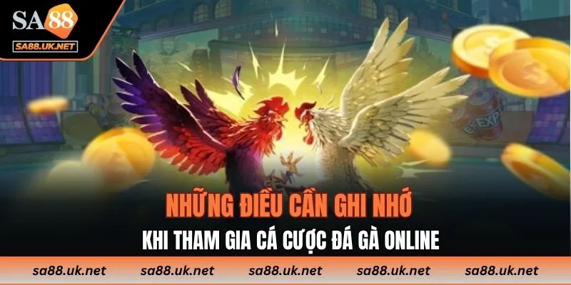 Những điều cần ghi nhớ khi tham gia cá cược đá gà online