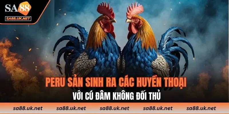 Peru sản sinh ra các huyền thoại với cú đâm không đối thủ