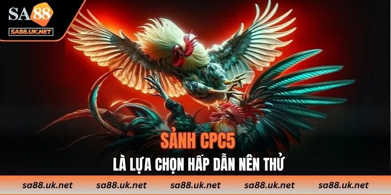 Sảnh CPC5 là lựa chọn hấp dẫn nên thử