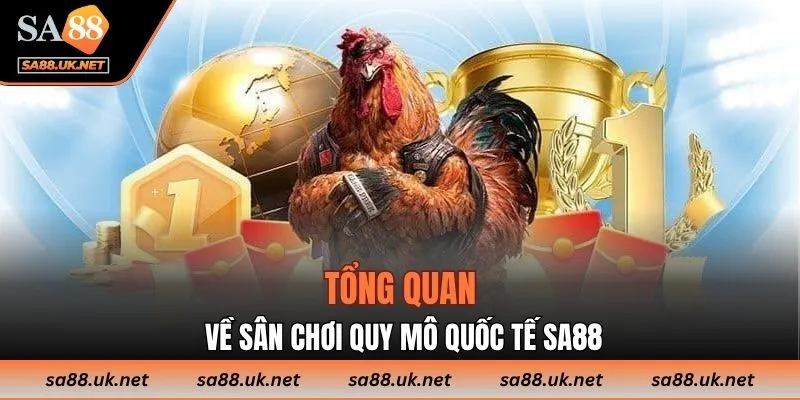 Tổng quan về sân chơi quy mô quốc tế SA88